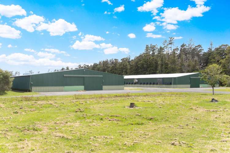 178 Fordyce Road Parakai_19