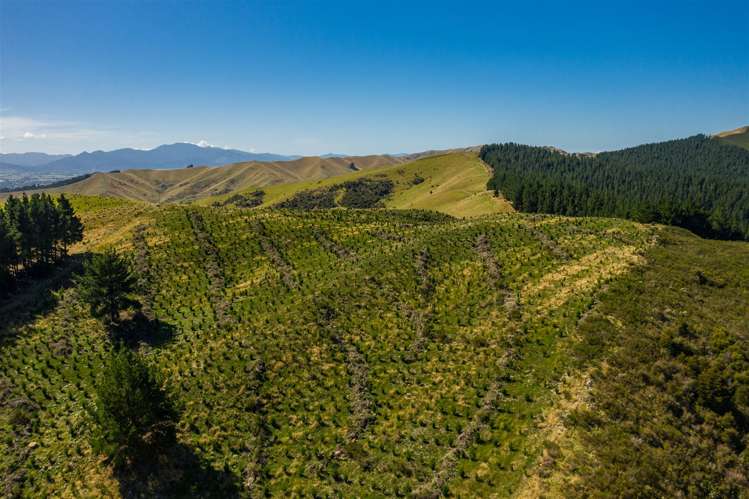 793 Taylor Pass Road Taylor Pass_10