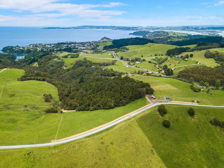 26 Cape Rodney Road Leigh_15