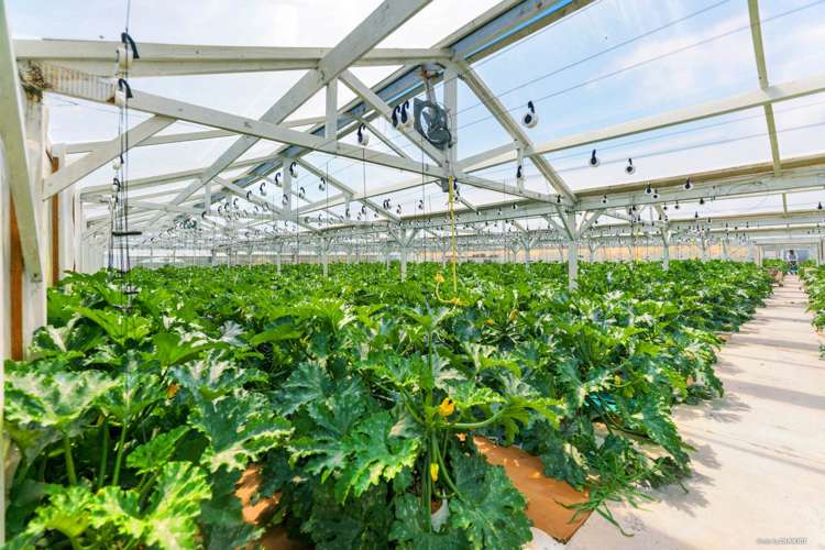 200 Appleby Road Drury_19