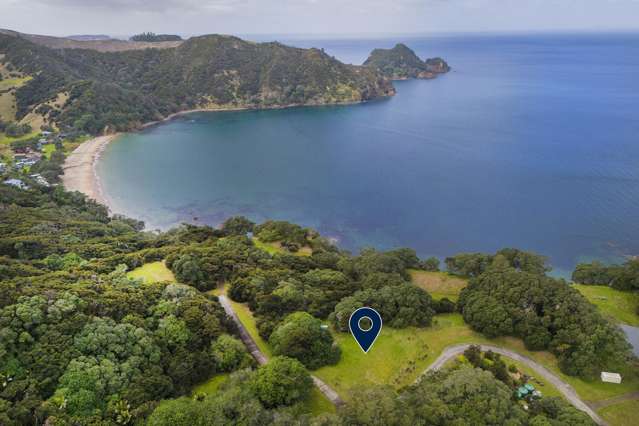 Lot Lot 3/216G Matapaua Bay Road Opito Bay_2