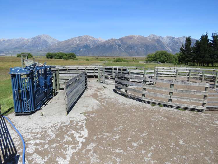 2131 Hakatere Potts Road Mesopotamia_25