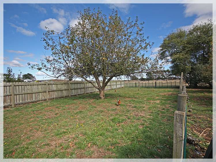 332 Foxton Shannon Road Foxton_27