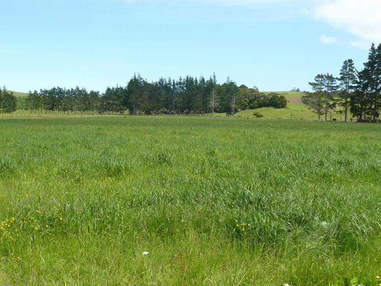 33 Larmer Road Kaitaia_9