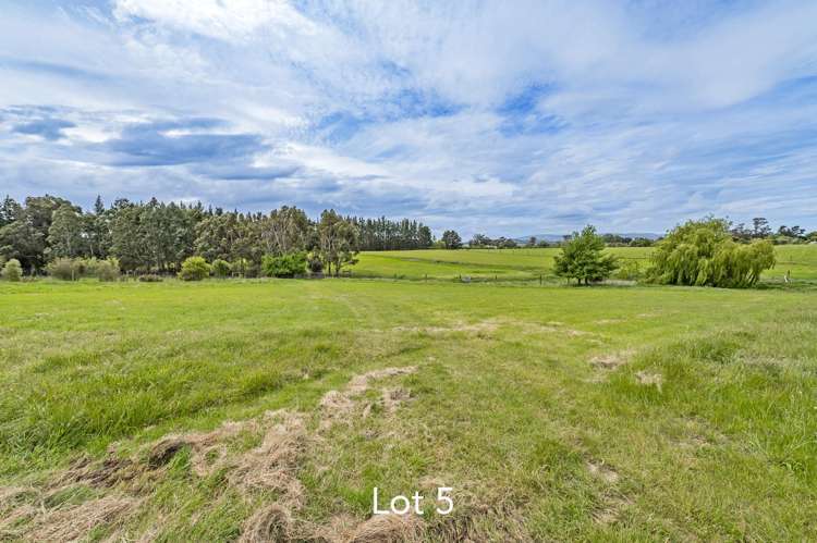229 Balcairn Amberley Road Amberley_13