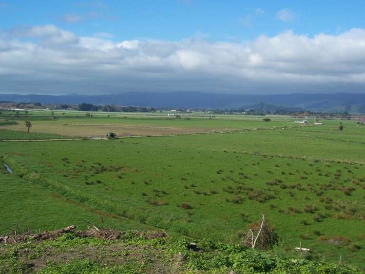 538 Kuku Beach Road Kuku_7