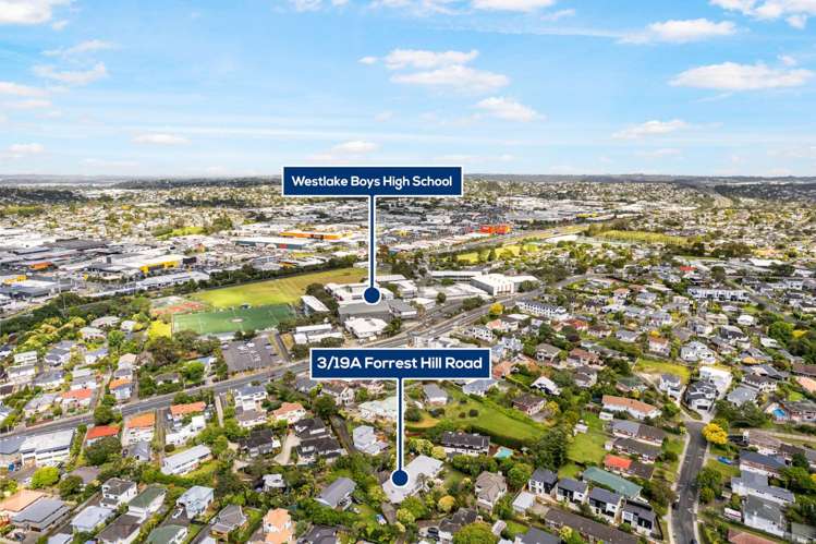 3/19a Forrest Hill Road Milford_18