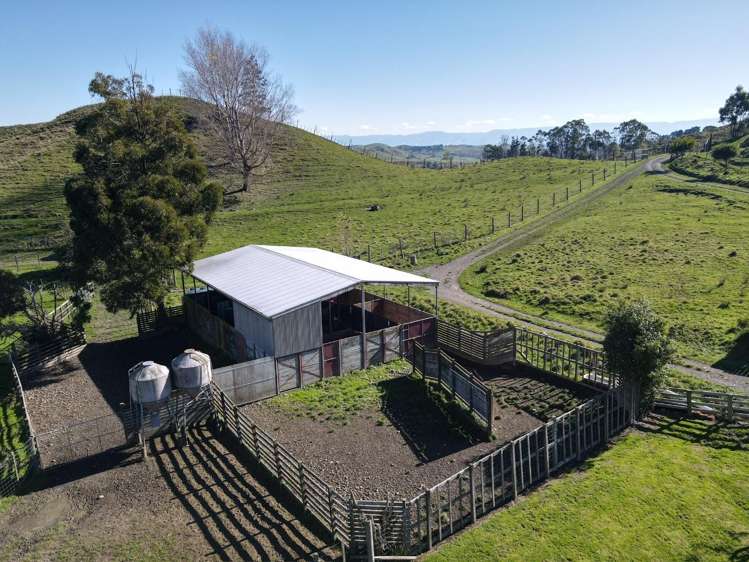 196 Ngapaeruru Rd Dannevirke_24
