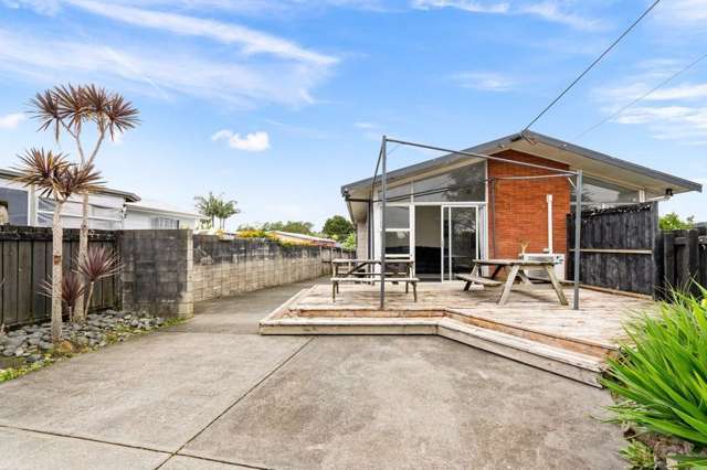 Pet-friendly, sundrenched four-bedroom home