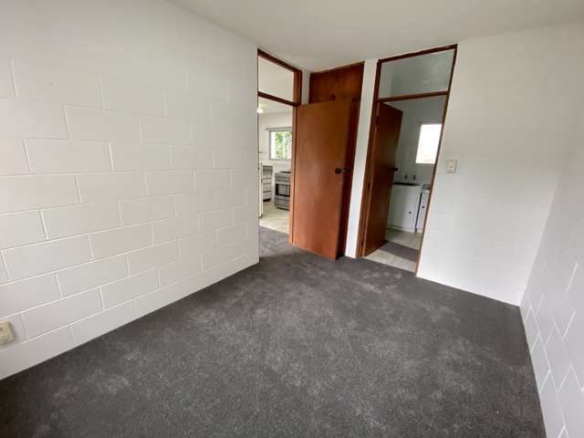 1/11 Balfour Road Parnell_3