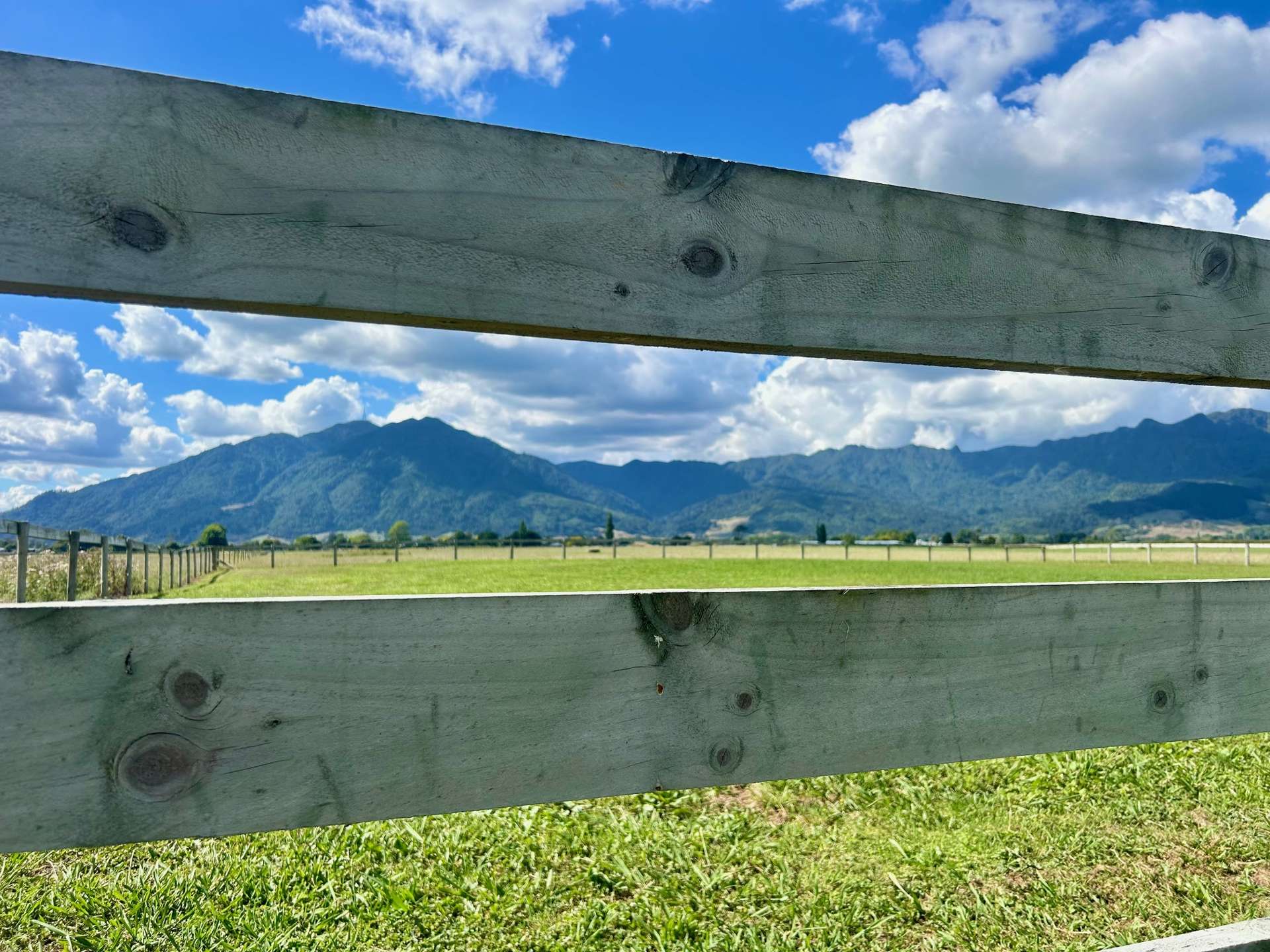 King Road Te Aroha_0