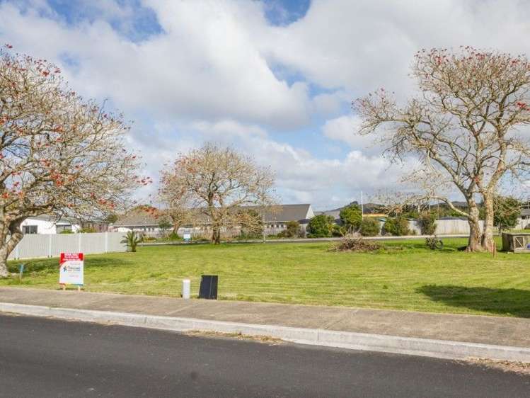 16 Flame Tree Lane Taipa_8