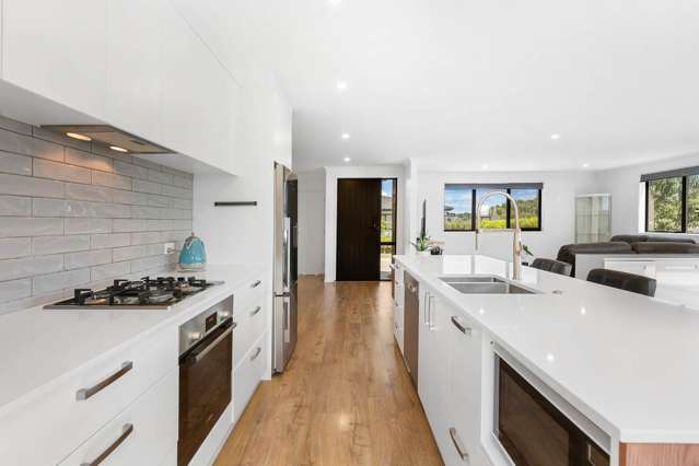 17 Te Paea Avenue Paerata_1