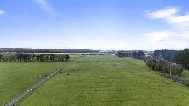 Santoft Road Bulls_8