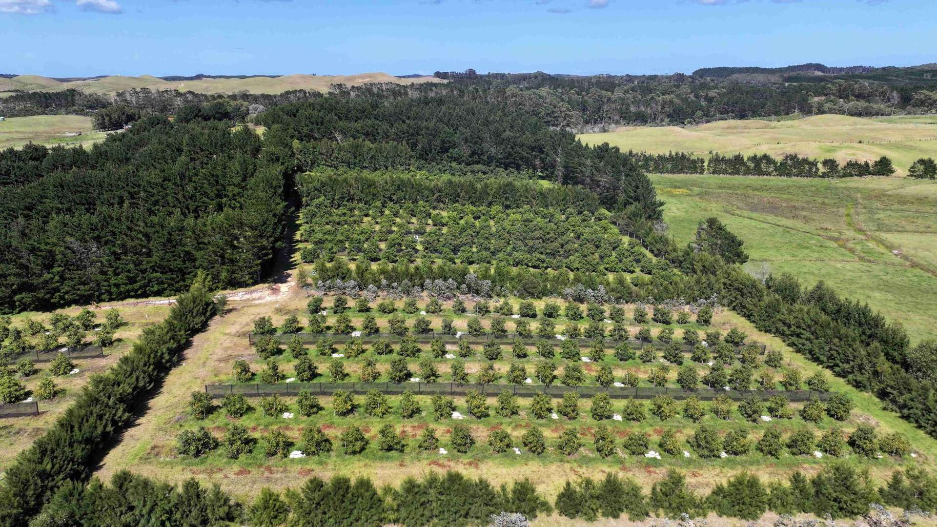 5126 State Highway One Ngataki_0