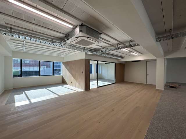 Level 1/11 - 13 Falcon Street Parnell_4