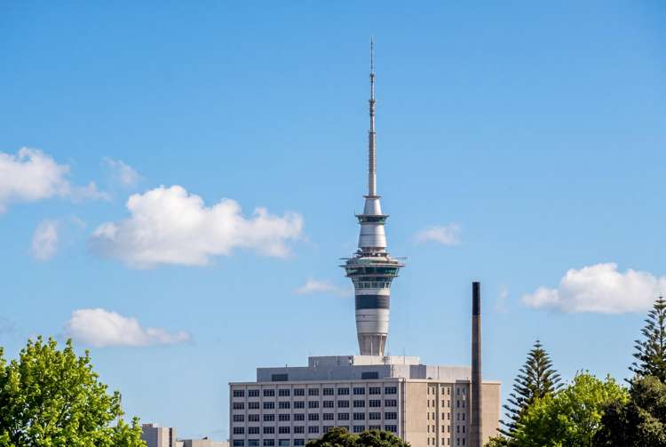 403/12 St Marks Road Remuera_28