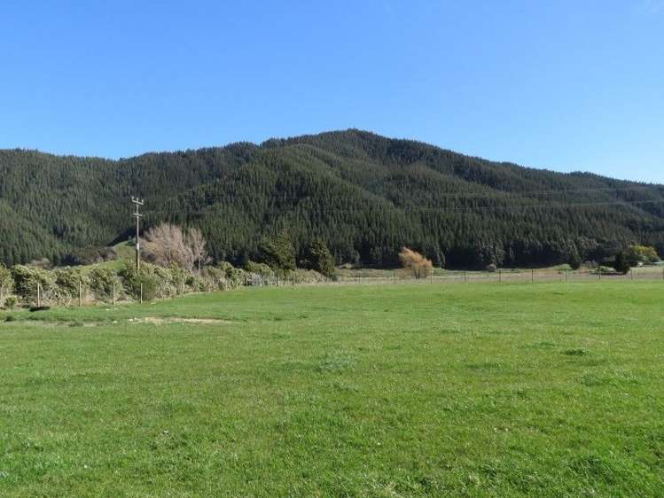 58 Leslies Road Havelock_5