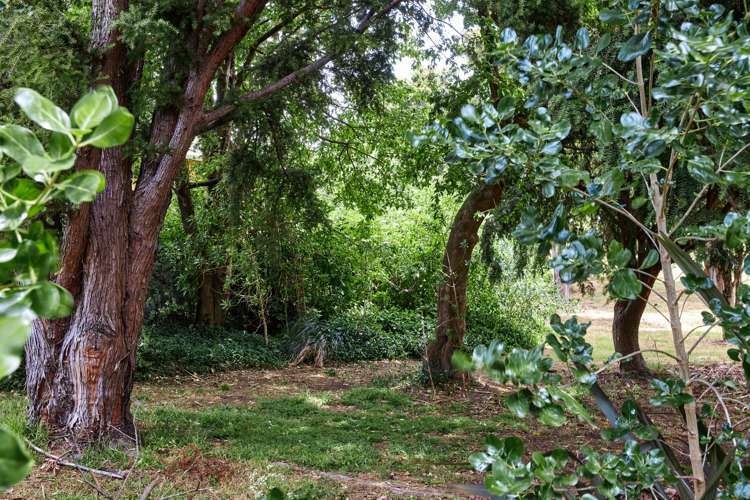 11a Churchill Street Kaikoura_18