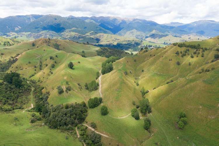 131 Rangitane Road Mangaweka_17