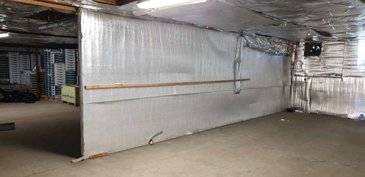 591 No 1 Road Te Puke_11