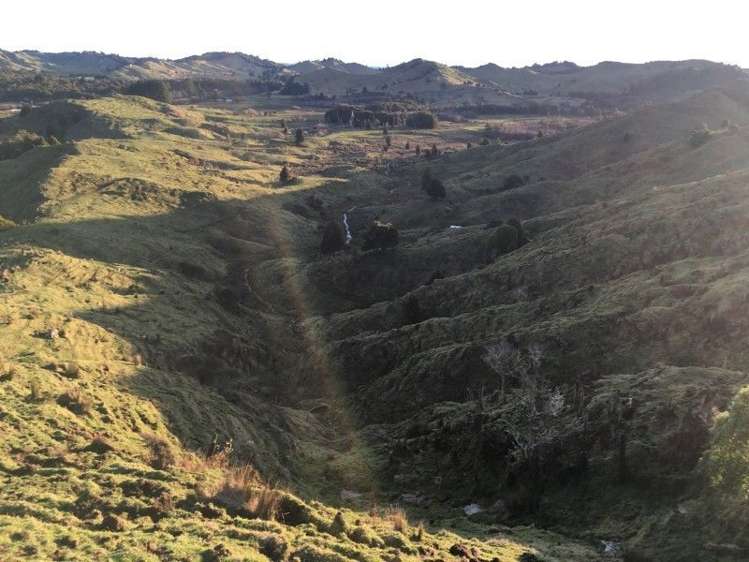 1427 Waitaanga Road Ohura_8