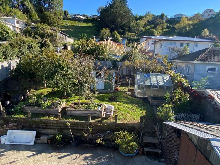 75 Toi Toi Street Toi Toi_19