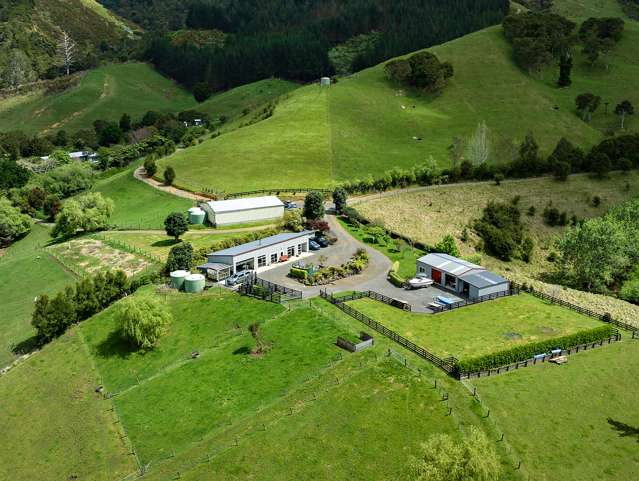 71 Mangotahi Road Thames_1