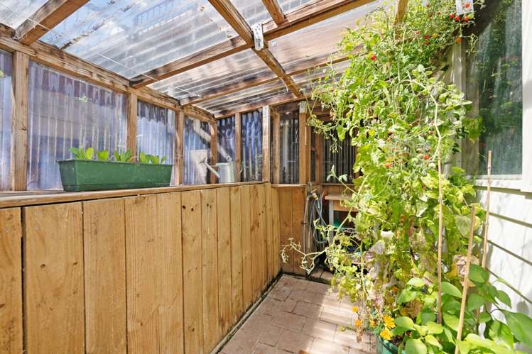 54 Bedford Street Northland_22