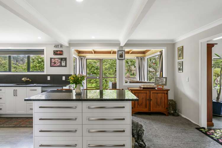 250 Link Road Wairakei and Surrounds_5