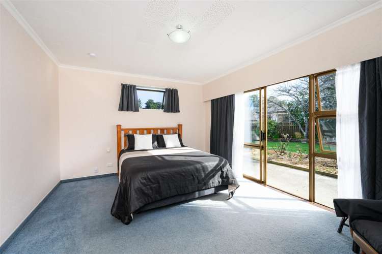 6 Flower Street Bulls_30