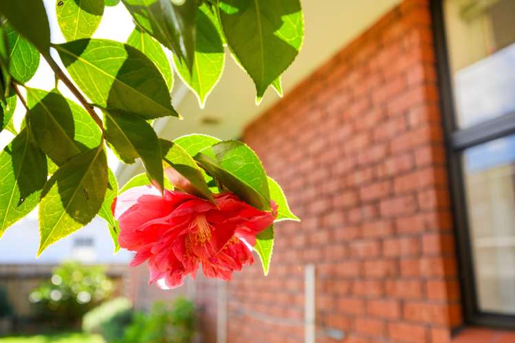 74 Albert Street Palmerston North Central_25