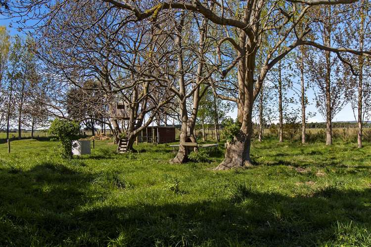 31 Timaru Road Waimate_23