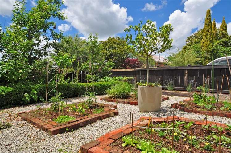 8 Menzies Street Beerescourt_18