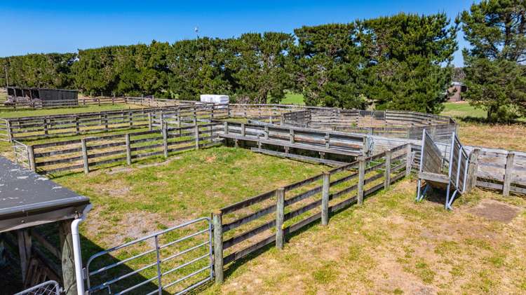 631 Burnham School Road Burnham_6