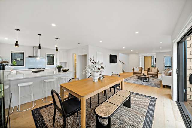 3 Christie Street Mount Roskill_2