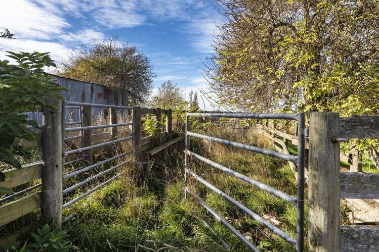 93 Hills Road Leeston_15