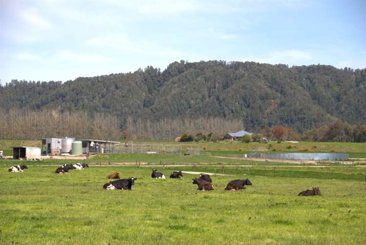 321 State Highway 69, Reefton Reefton Buller Rural Property For