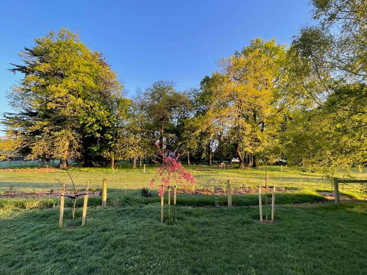 96 High Street Oxford_18