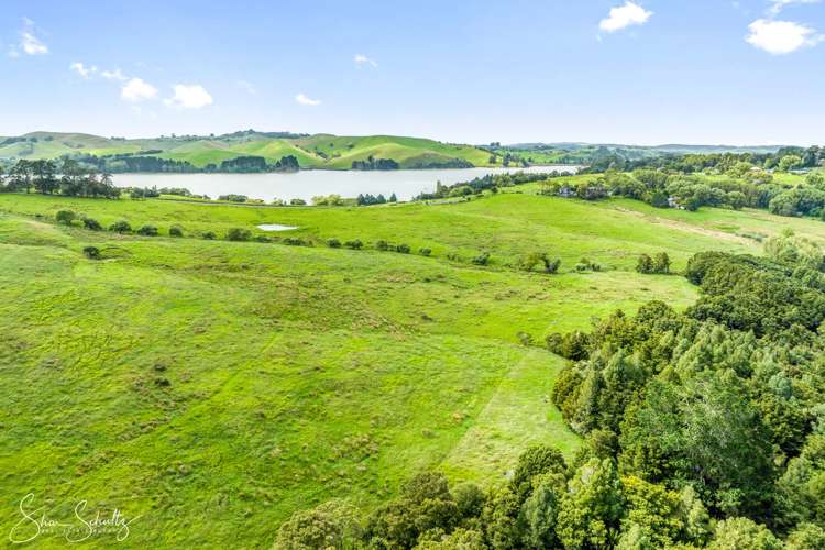 Pahi Road Paparoa_11