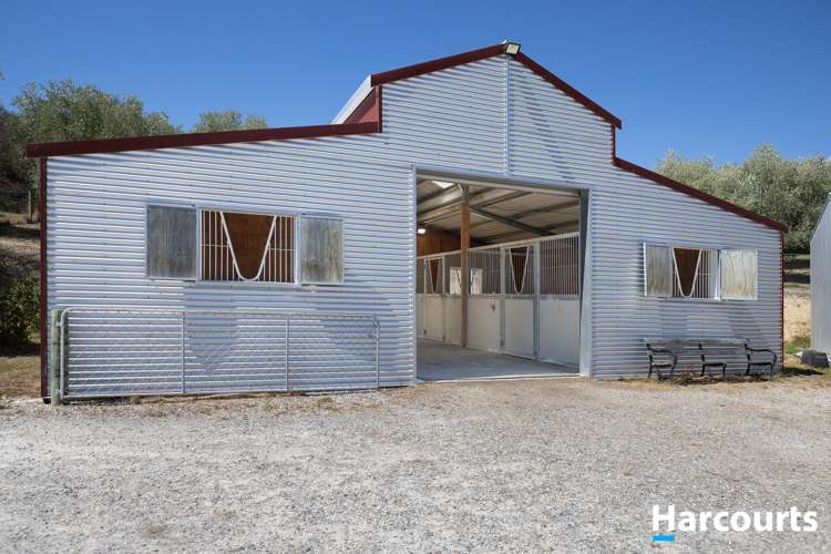 136 Harley Road Tasman_40