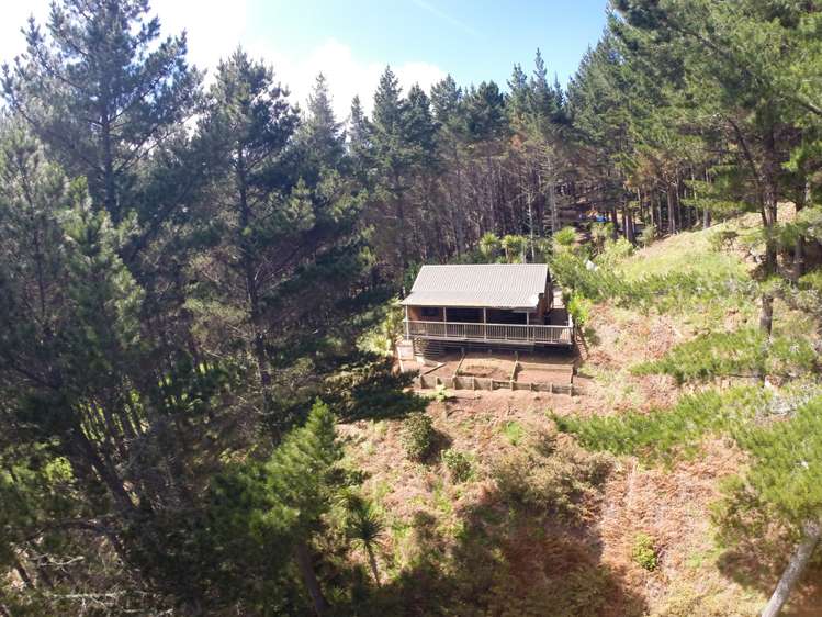 72 Maungatawhiri Road Raglan_3