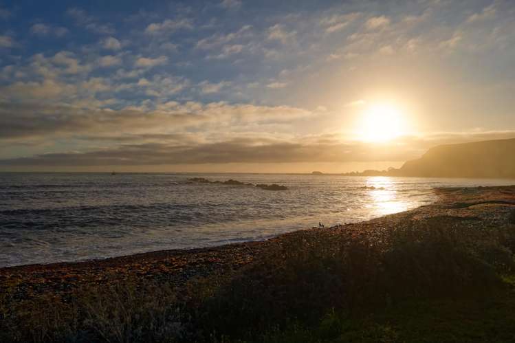 Lots 1 -4/162 - 164 Esplanade Kaikoura_2
