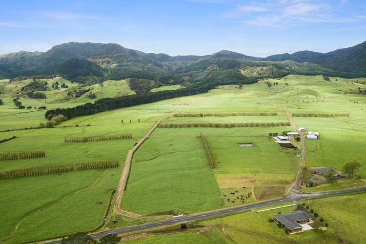 1369 Te Aroha-Gordon Road Manawaru_0