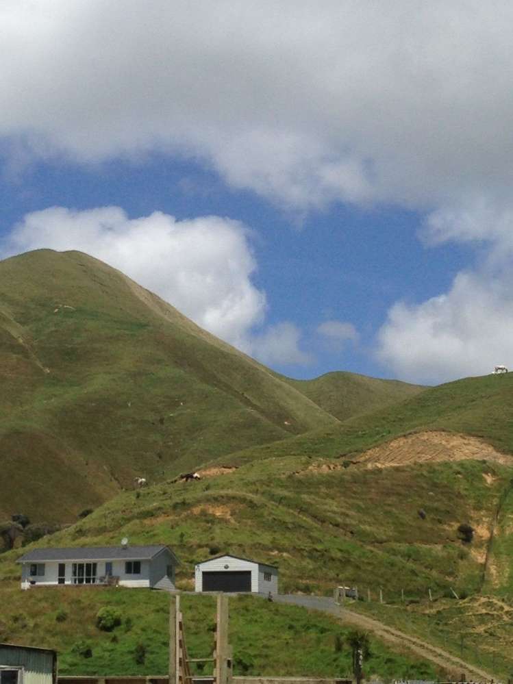 1445 Marokopa Road Marokopa_13