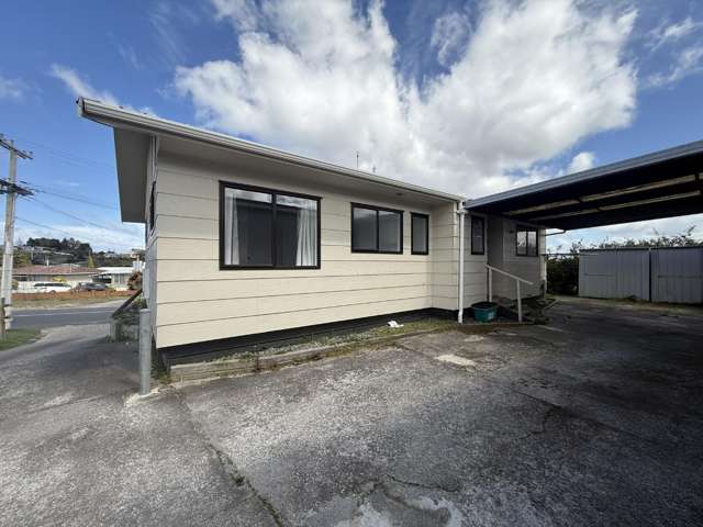 58 Elizabeth Street Tuakau_1