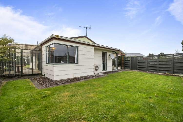 12 Mansell Crescent Bulls_18