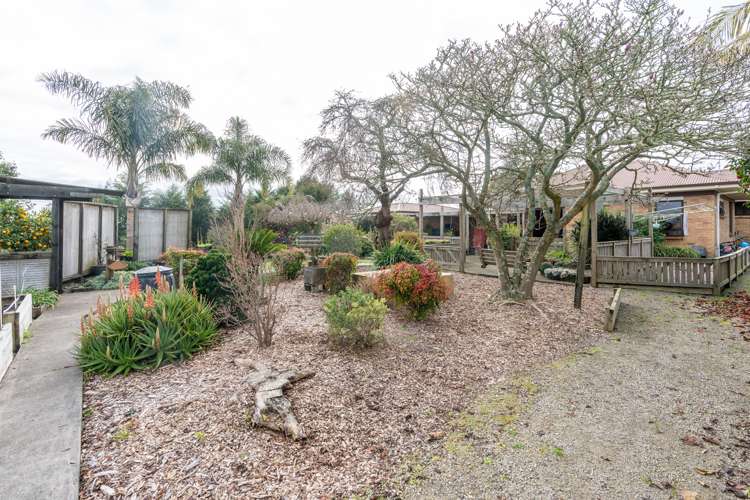 802 Tuhikaramea Road Ngahinapouri_32