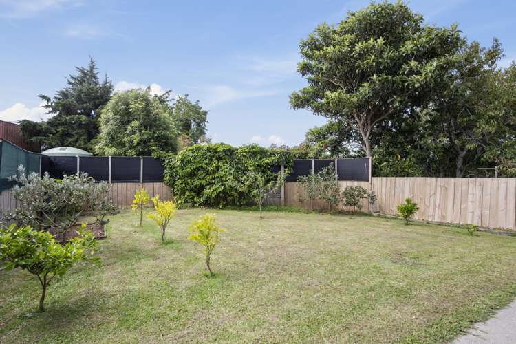 5a Mueller Street Waihi_13