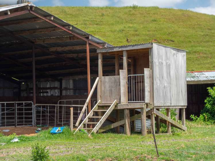 75 Spence Road Waihi_24